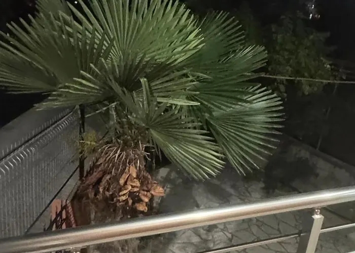 Ada Hilltop Serenity Apartment